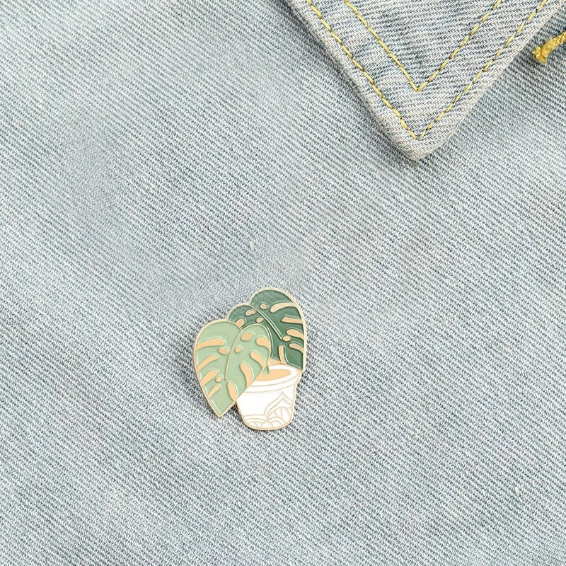 Plantă Monstera aurie într-un ghiveci