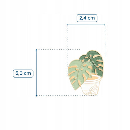 Plantă Monstera aurie într-un ghiveci