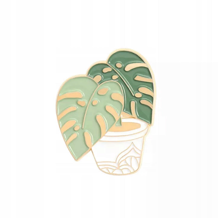 Plantă Monstera aurie într-un ghiveci