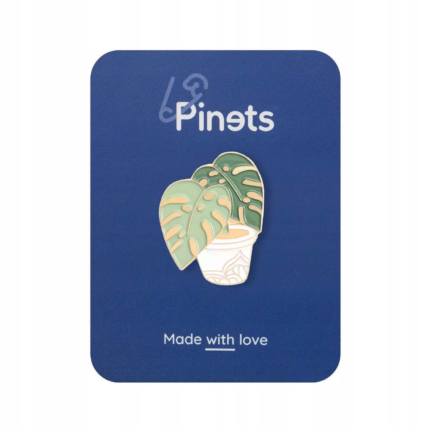Plantă Monstera aurie într-un ghiveci