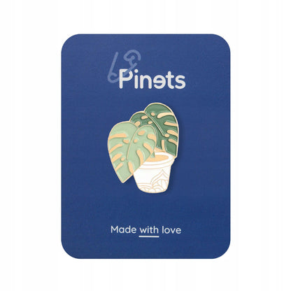 Plantă Monstera aurie într-un ghiveci