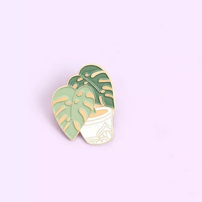 Plantă Monstera aurie într-un ghiveci